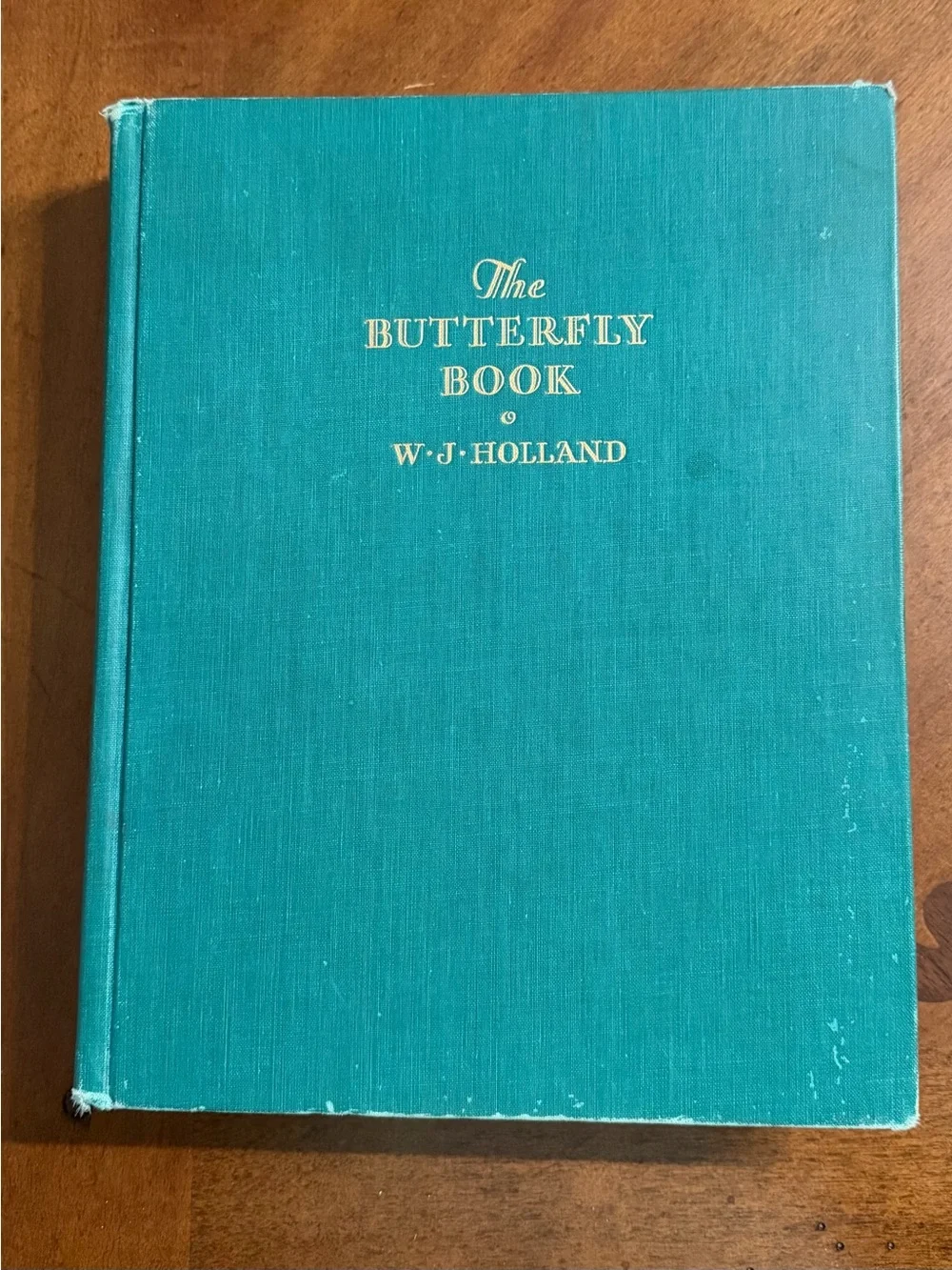 The Butterfly Book by - Teal Clothbound Coffee Table Book